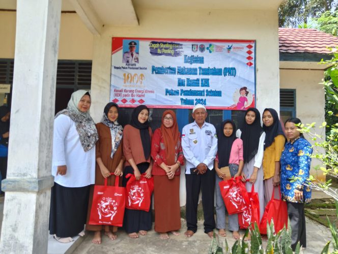
					Pemberian Makanan Tambahan di Pekon Pandan Sari Selatan Meningkatkan Kesehatan Anak dan Ibu Hamil