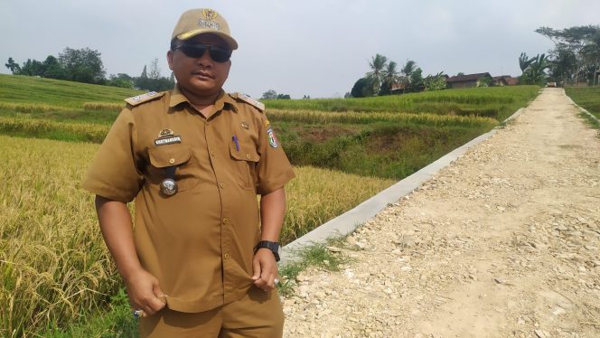 
					Gunakan Dana Desa 2024, Pekon Rejosari Timbun 101m Jalan Usaha Tani
