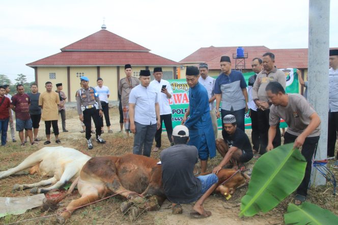 
					Polres Pringsewu Gelar Ibadah Sholat Idul Adha dan Penyembelihan Hewan Qurban
