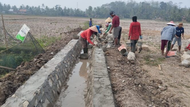 
					Pembangunan Drainase dan Program Ketahanan Pangan di Pekon Blitarejo Gadingrejo